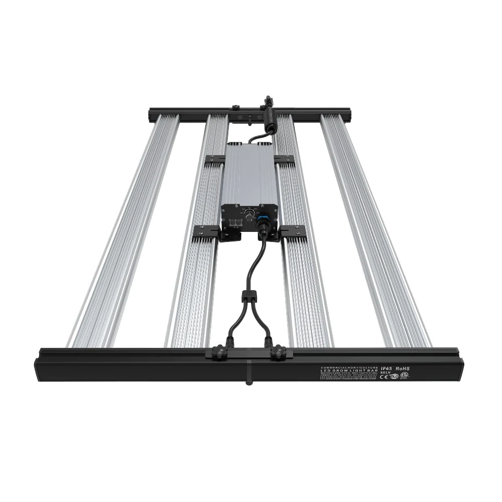 Mega Optic 350W - Resultados de cultivo